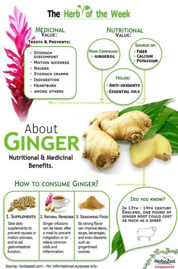 Survival Pharmacy: 9 Ways To Use Ginger For Your Health